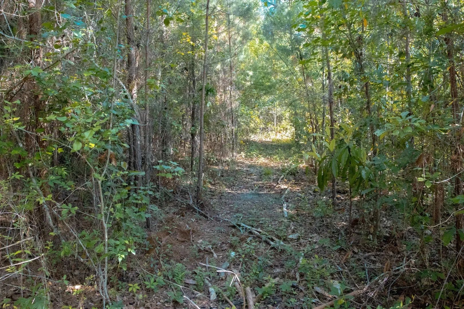 Jacksonville Development Tract in Jacksonville, North Carolina - photo 8