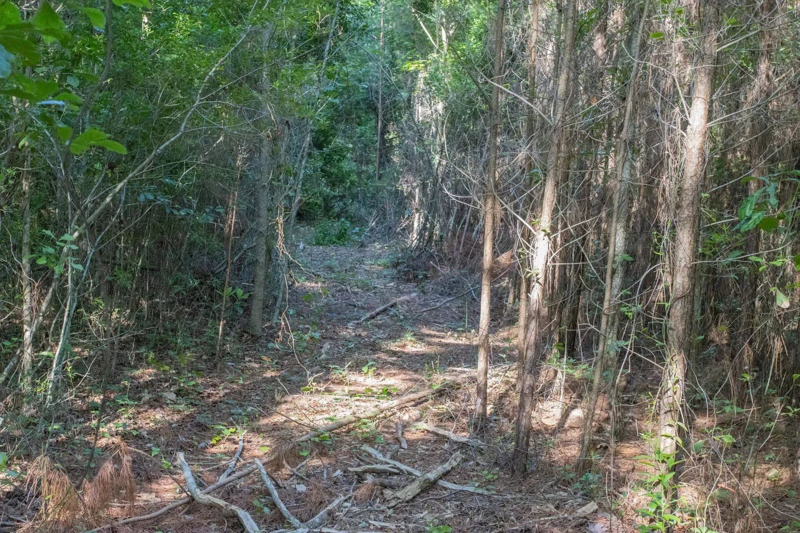 Jacksonville Development Tract in Jacksonville, North Carolina - photo 9