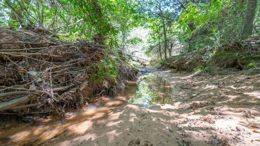 135 Acres in Milam County