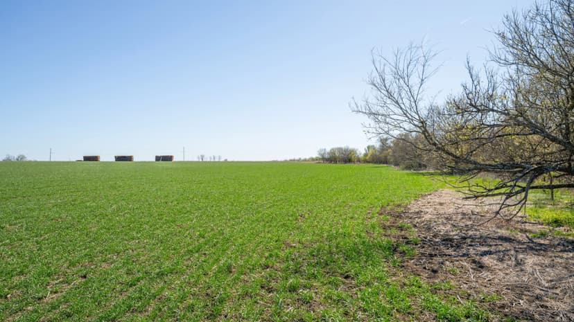 6 Acres in Milam County