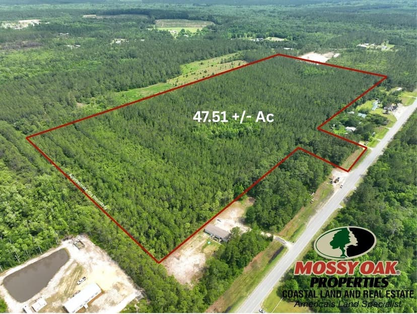 47.51 Ac +/- Recreational Timberland for Sale in Wayne County, GA