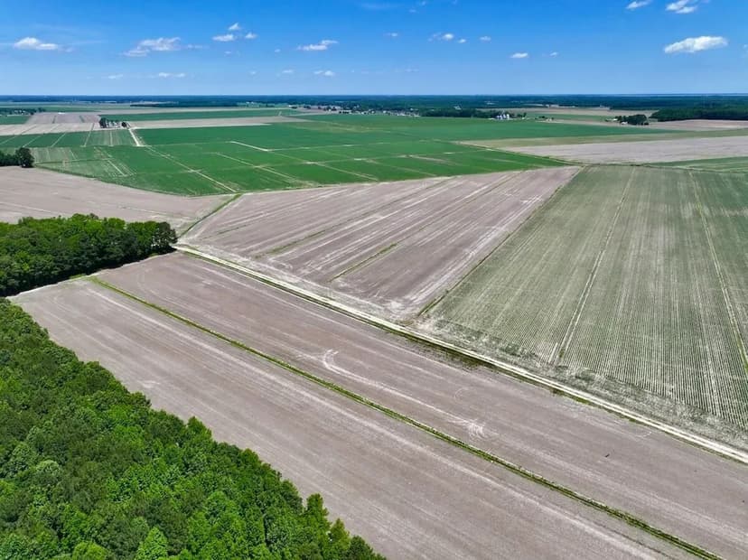 UNDER CONTRACT!! 39.3 Acres of Prime Agricultural Farm Land For Sale in Currituck County, NC!