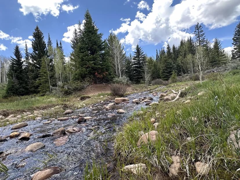 North Fork Meadows Ranch