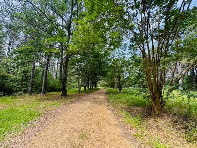 Home & Cabin on 123.66 Acres | McCall Creek, MS