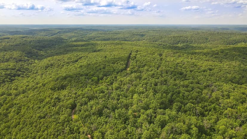 Ultimate Ozark Retreat: 216.87 Acres of Hunting and Recreation - Laclede County