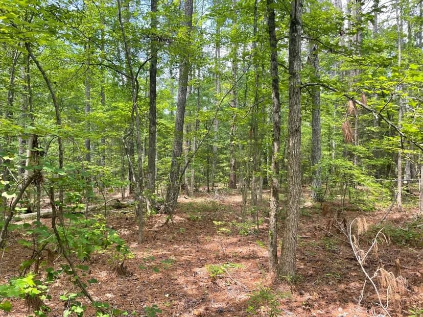 +/- 8.79 Acres – Tract 4 On Clatworthy Road in Honea Path, SC