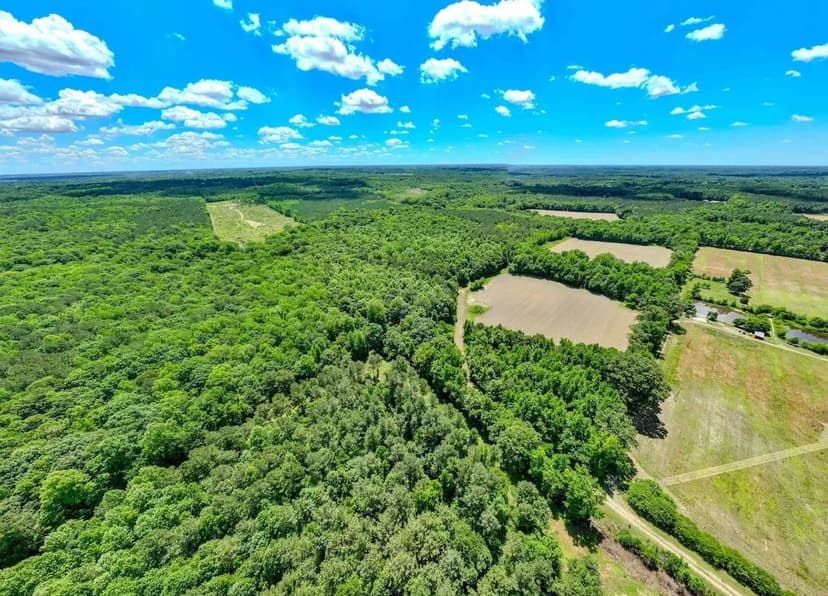 UNDER CONTRACT!! 57.96 Acre Secluded Timber Property with Extensive River Frontage and Build Site Locations!