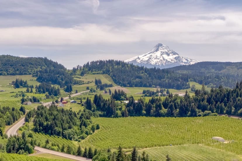 Stunning Vineyard Estate in the Columbia Gorge
