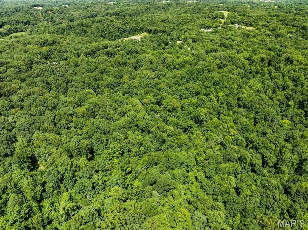 13.65 Acres of Land for Sale in Chaffee, MO - Chaffee, Missouri, 63740