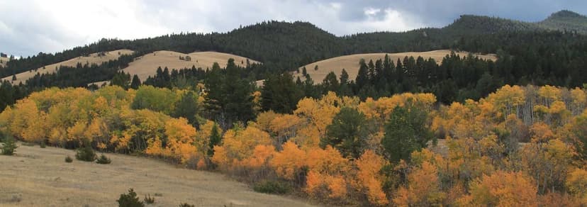 Austin Meadows Mountain Ranch