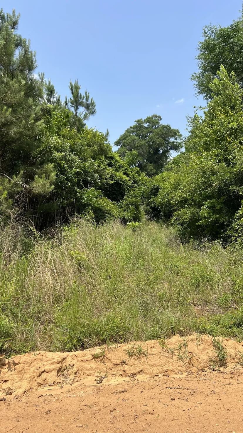 Christmas Road Tract Lot 3