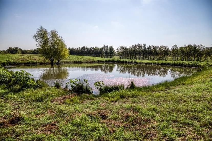 176 Acres at 2945 Fm 3090 Rd