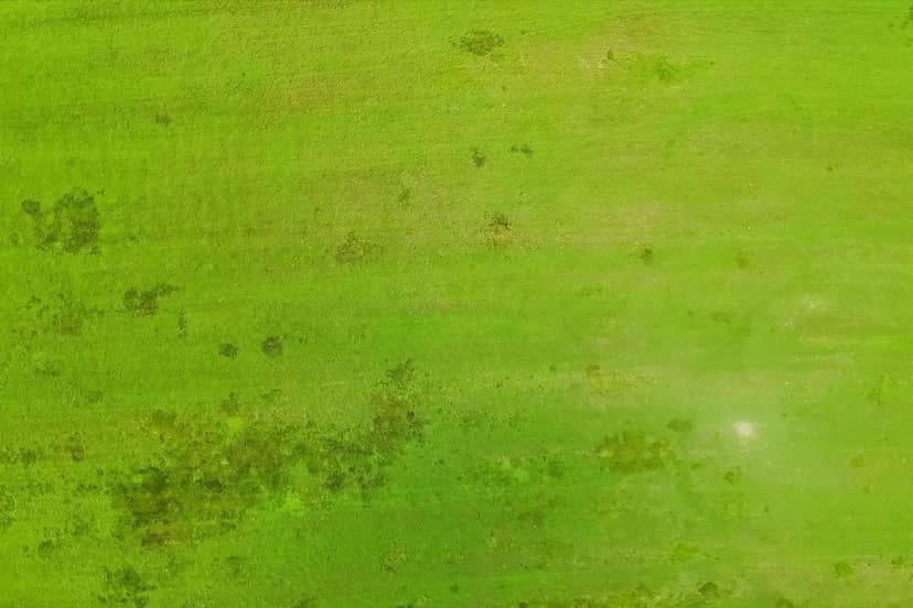 0 TBD Mt Beulah Road