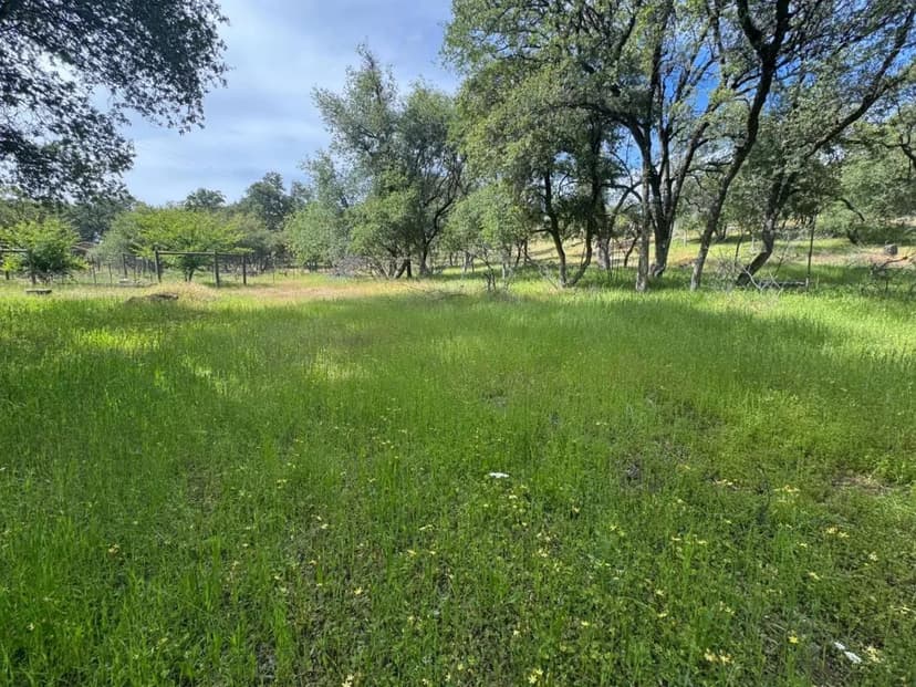 12991 Lake Francis Ext Road