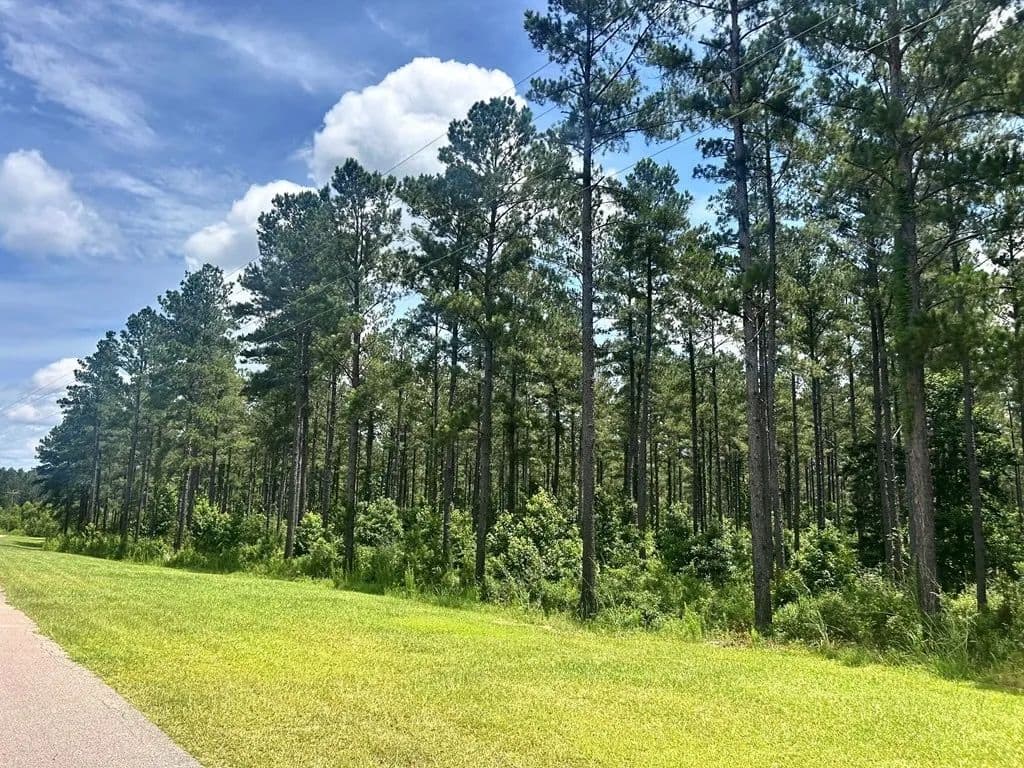 The Big Woods Neighborhood in Hattiesburg MS in Hattiesburg, Mississippi - photo 7