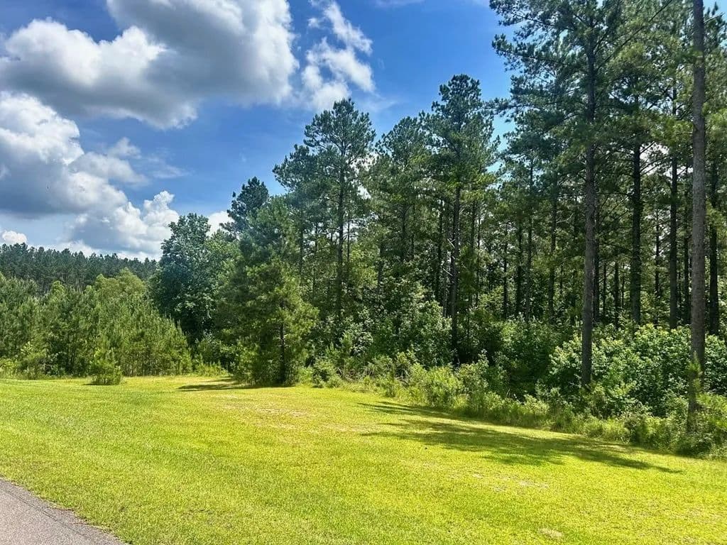 The Big Woods Neighborhood in Hattiesburg MS in Hattiesburg, Mississippi - photo 4