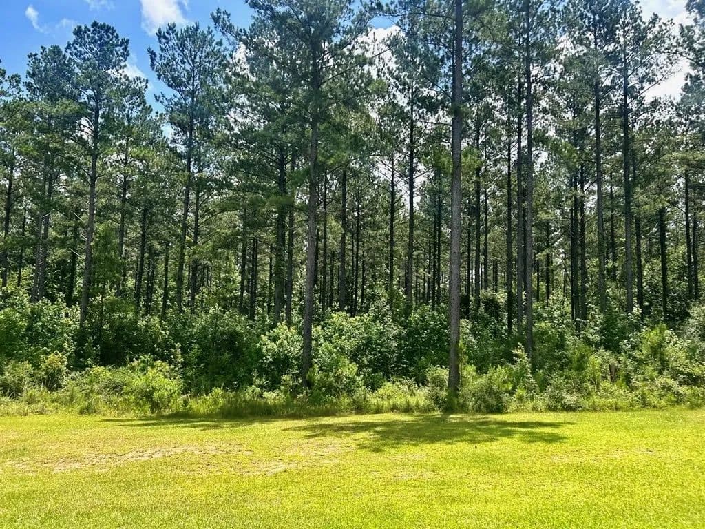 The Big Woods Neighborhood in Hattiesburg MS in Hattiesburg, Mississippi - photo 3