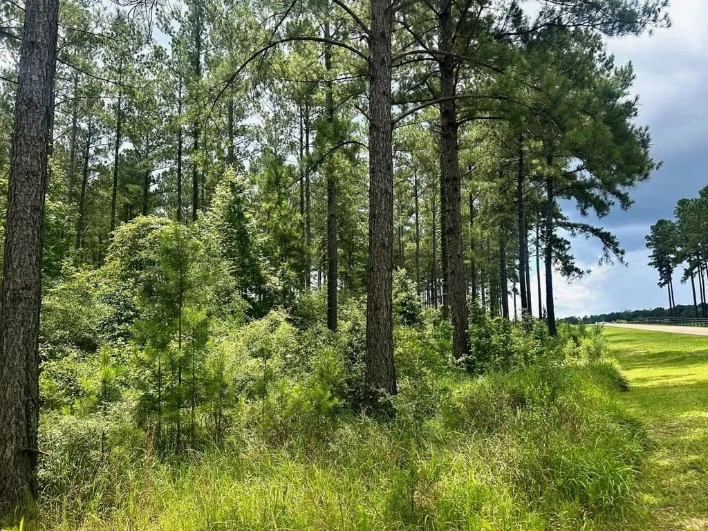 The Big Woods Neighborhood in Hattiesburg MS in Hattiesburg, Mississippi - photo 13