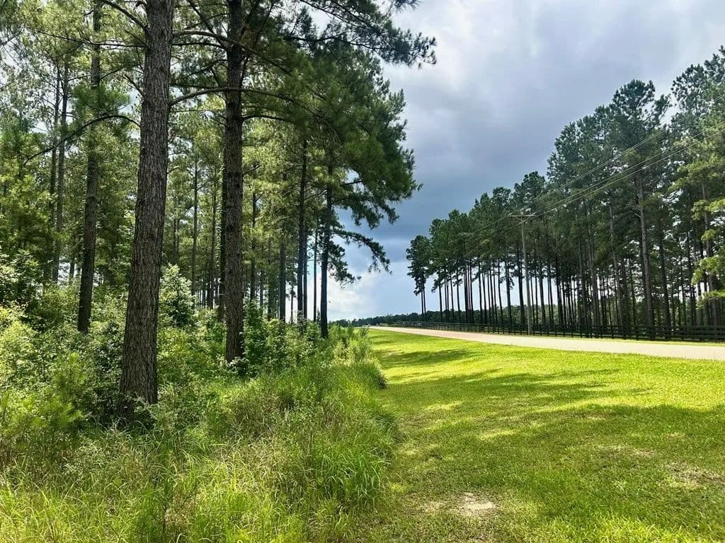 The Big Woods Neighborhood in Hattiesburg MS in Hattiesburg, Mississippi - photo 12