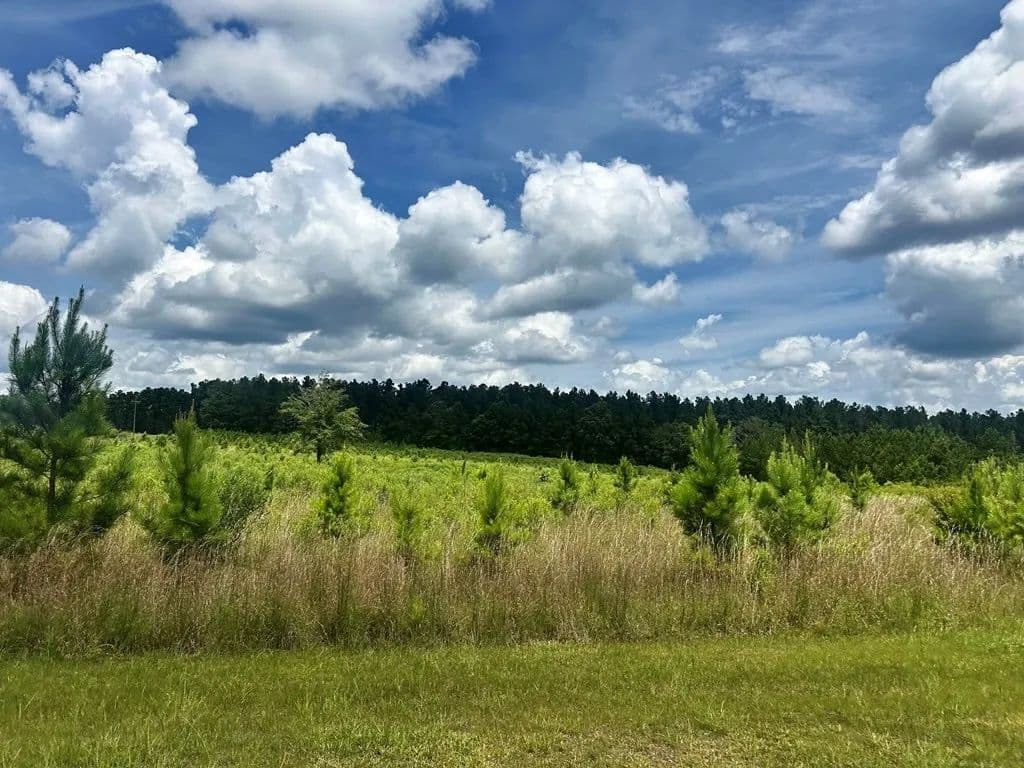 The Big Woods Neighborhood in Hattiesburg MS in Hattiesburg, Mississippi - photo 10