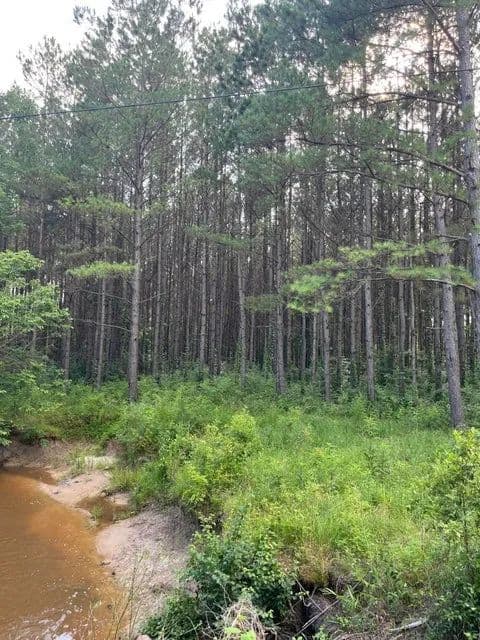 Commercial property at Intersection of Hwy 25 and Hwy 19