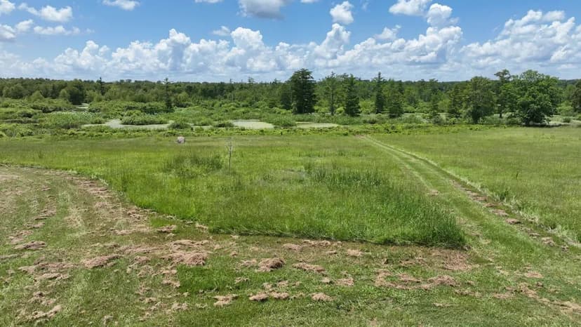 Grand Vue - Lagniappe Tract