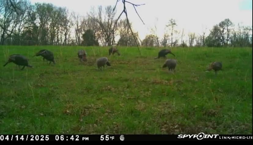 Versatile Farm With Income Potential, Hunting And Charming Country Home