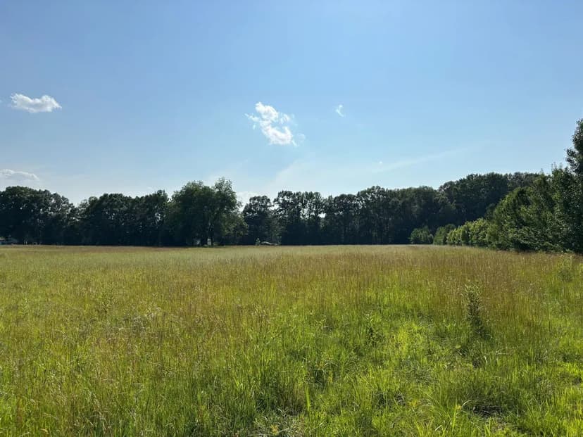 277+- Row Crop with Duck Hole