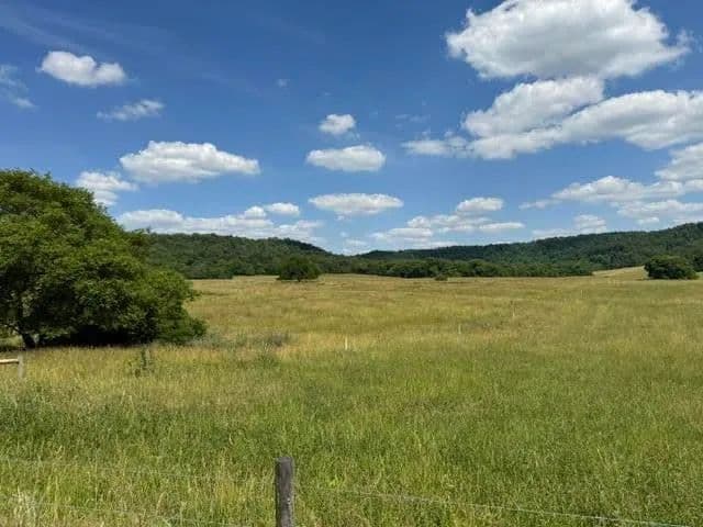 Property from Tract 5 L And N Turnpike Road - KW - Horse Cave, Kentucky, 42749