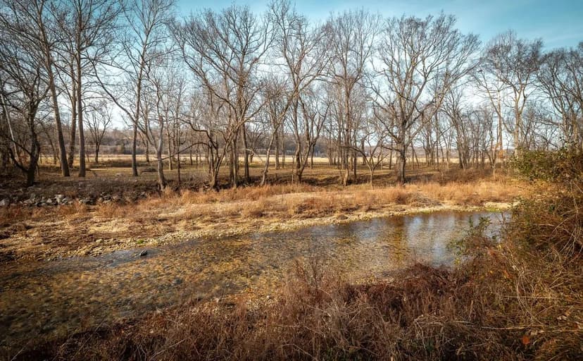 Buffalo Creek Lodge 145