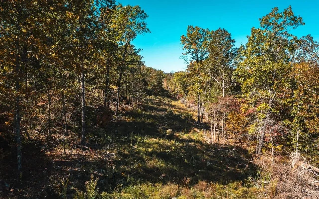 Gunnison Ranch & Hunt Tract 4 - Kirbyville, Missouri, 65679