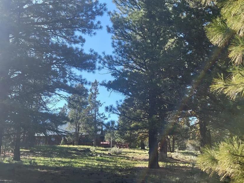 A Storybook Escape: Live the Legend at Cave Mountain Cabin