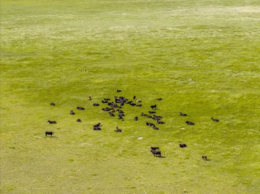 Emard Cattle and Hay Ranch