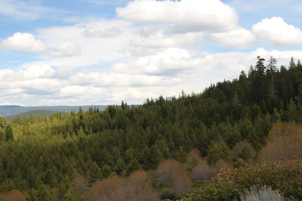 Tower Spring Acres in Bly, Oregon - photo 2