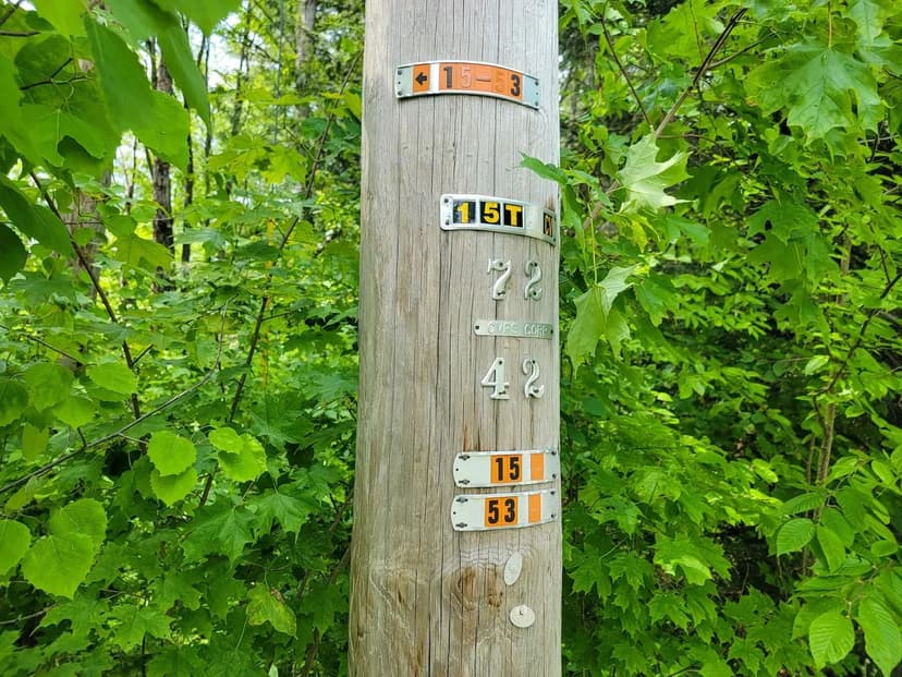 1105 South Hill Rd - Jamaica