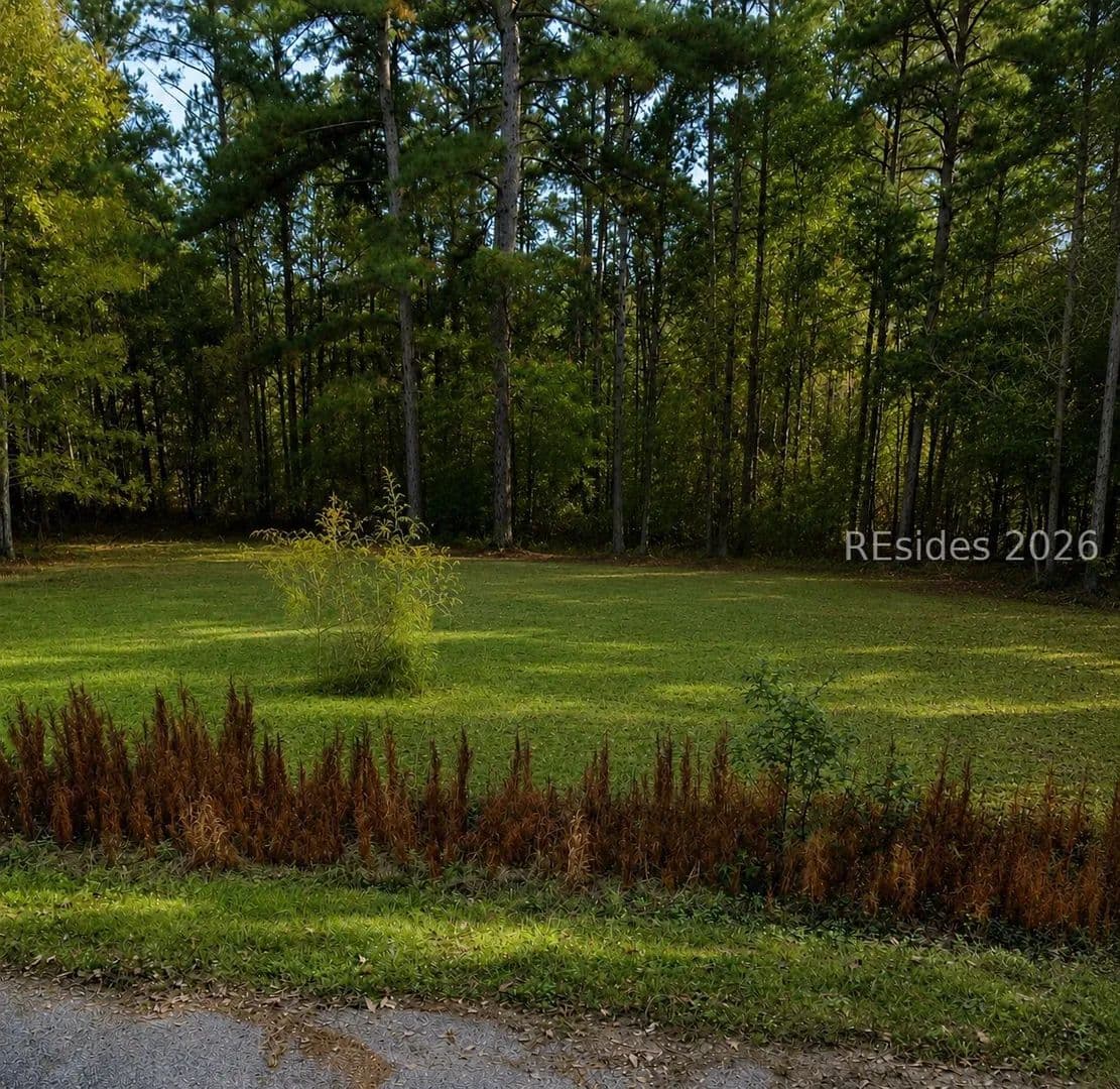 Property from 539 Luther - KW - Fairfax, South Carolina, 29827