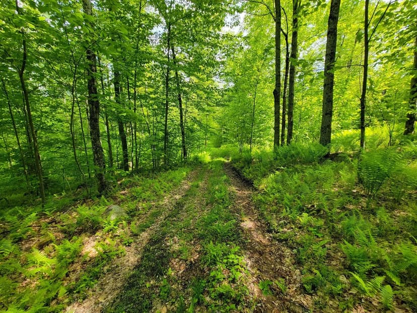 184 Schoolhouse Rd Jamaica