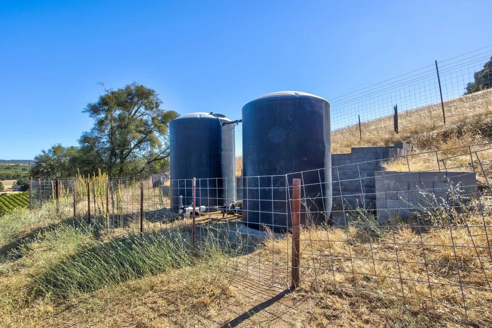 Henry's Vineyard in Plymouth, California - photo 7