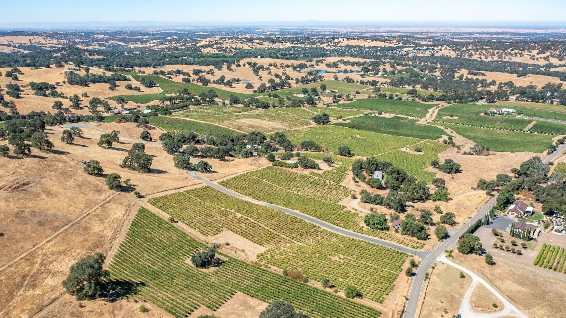 Henry's Vineyard in Plymouth, California - photo 26