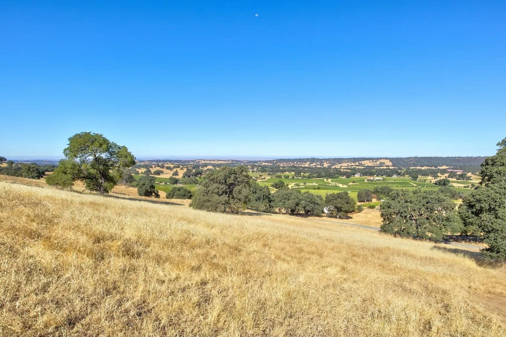Henry's Vineyard in Plymouth, California - photo 9
