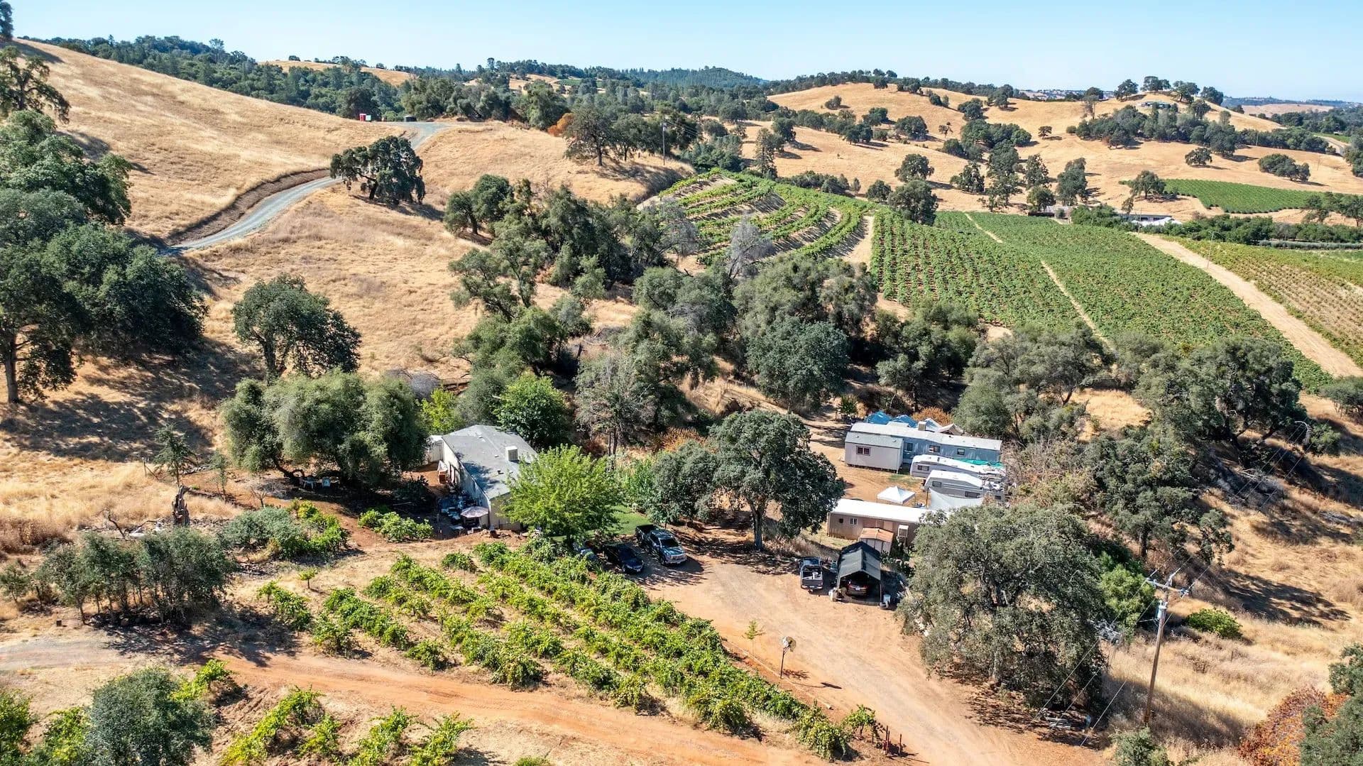 Henry's Vineyard in Plymouth, California - photo 20