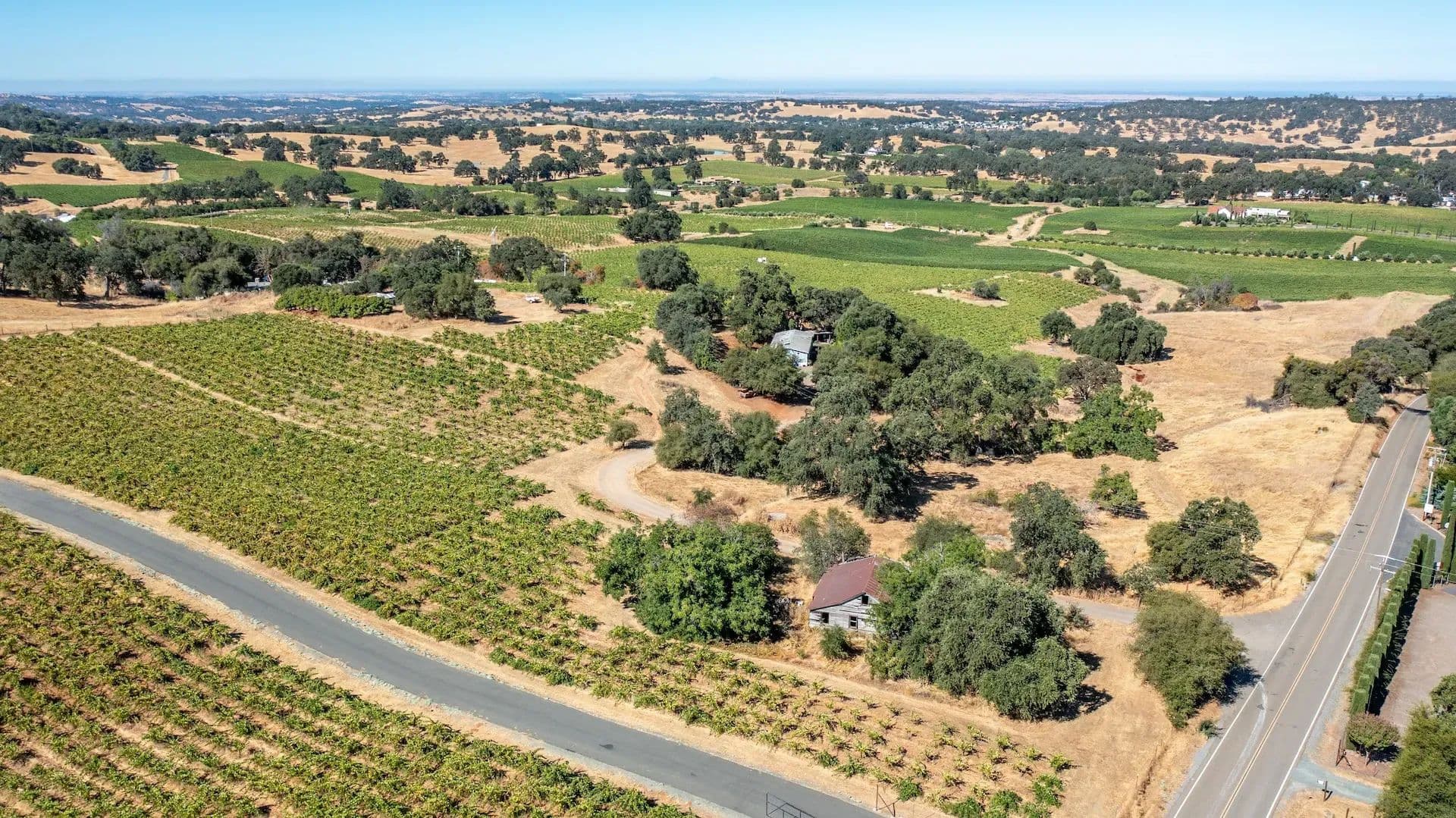Henry's Vineyard in Plymouth, California - photo 18