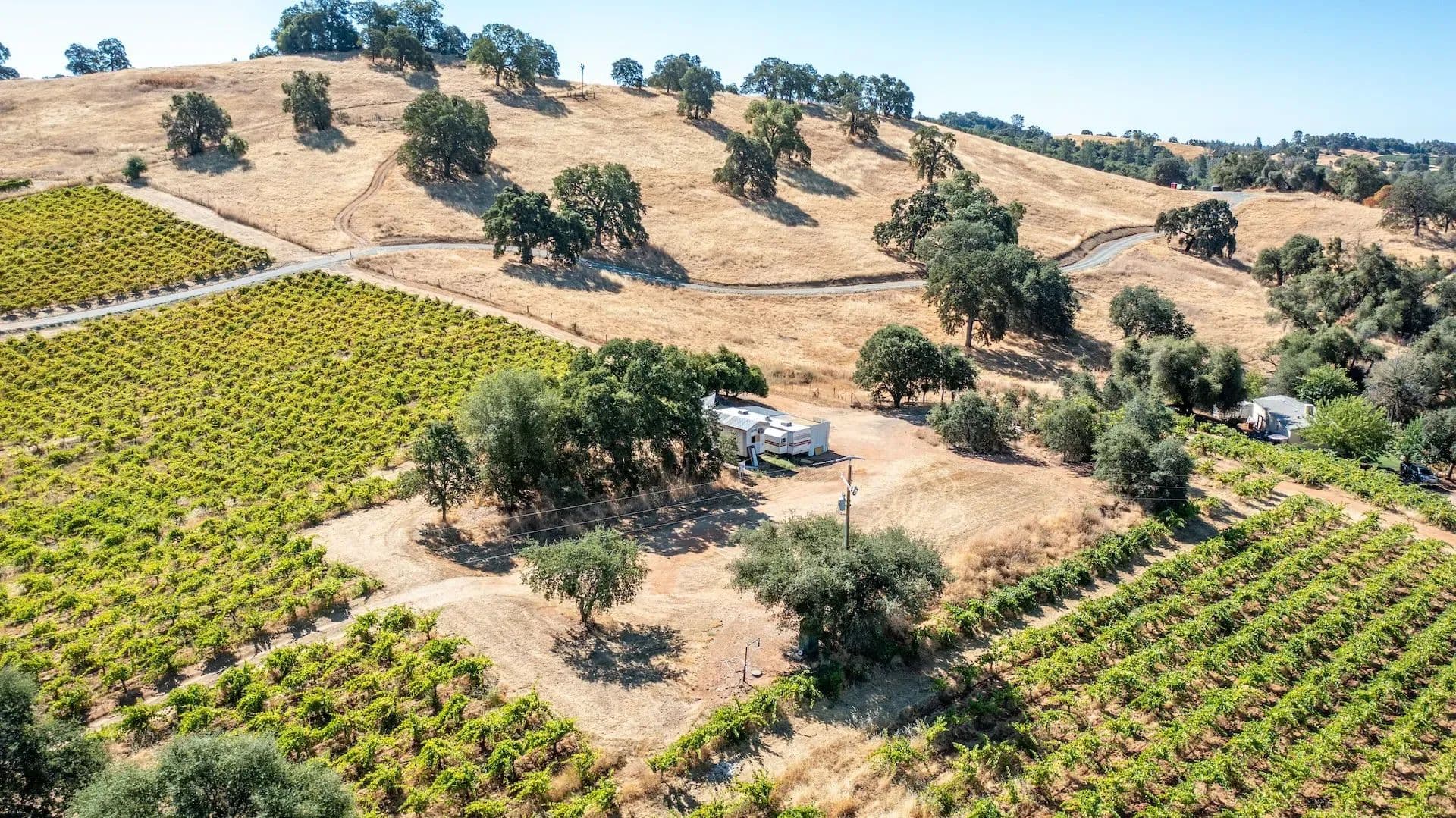 Henry's Vineyard in Plymouth, California - photo 19