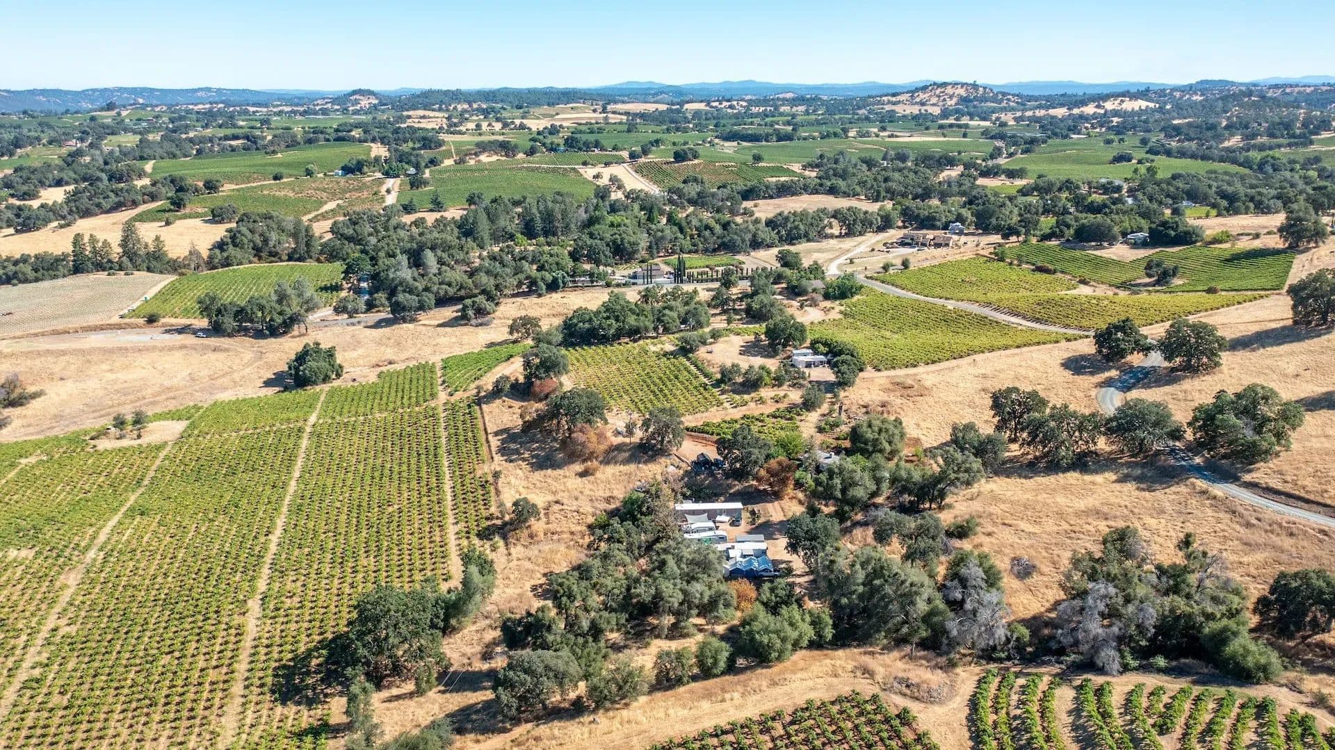 Henry's Vineyard in Plymouth, California - photo 22