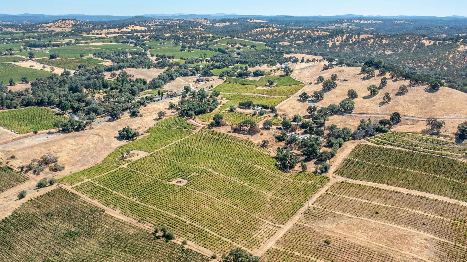 Henry's Vineyard in Plymouth, California - photo 25