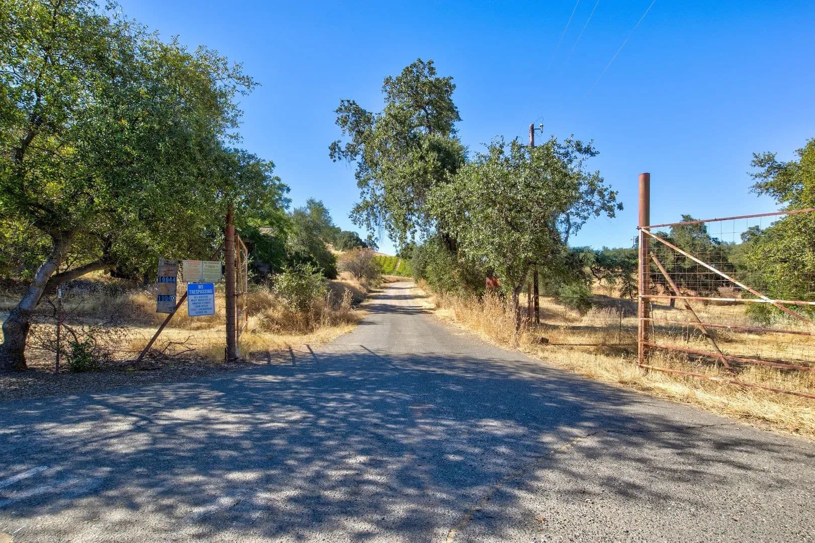 Henry's Vineyard in Plymouth, California - photo 5