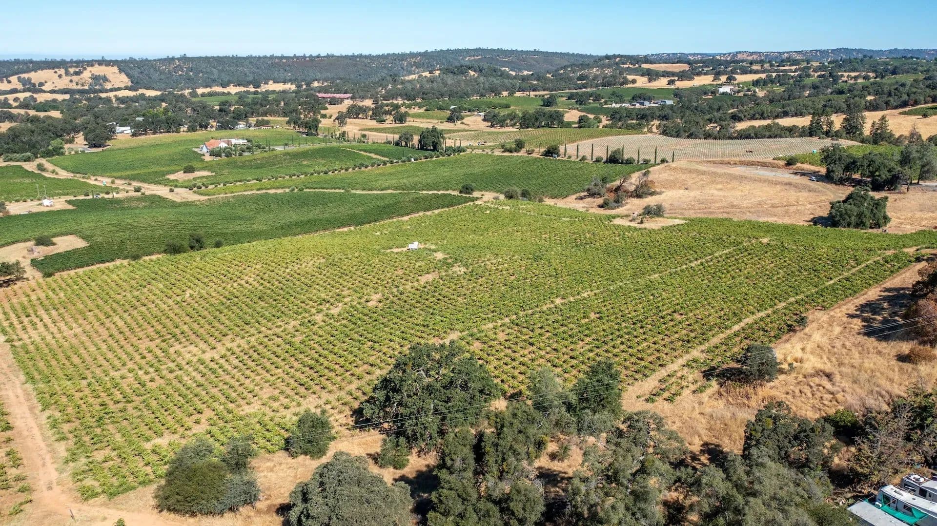 Henry's Vineyard in Plymouth, California - photo 21