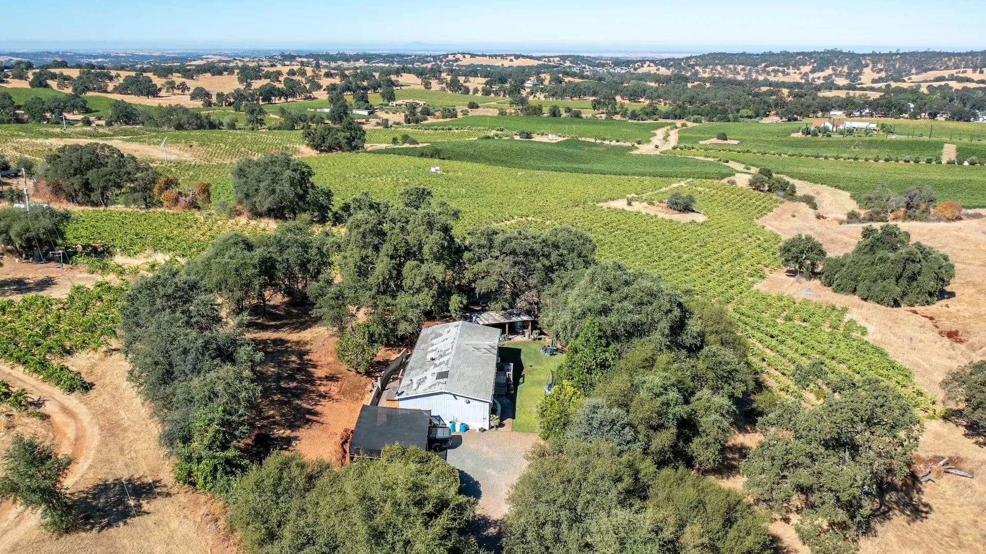 Henry's Vineyard in Plymouth, California - photo 17