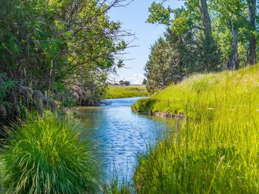 Mystic Mountain Ranch