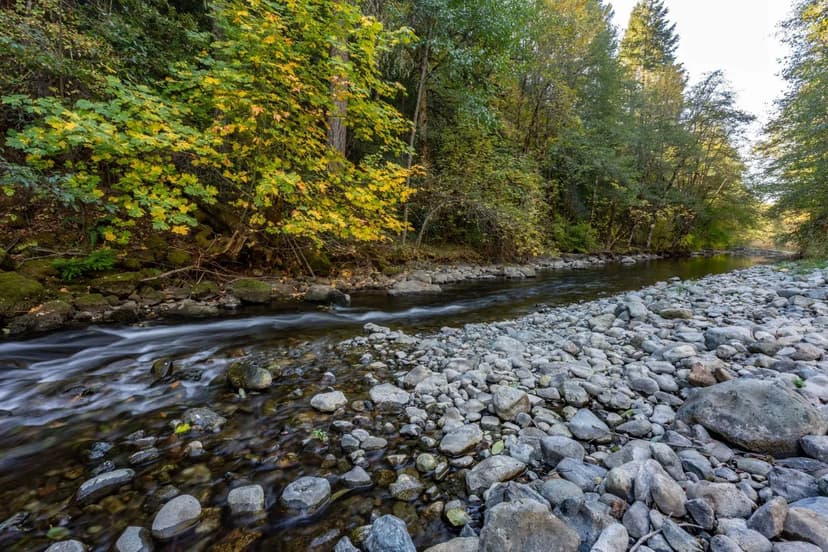 Country Hills Resort